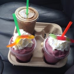 Java Jungle - Delicious!