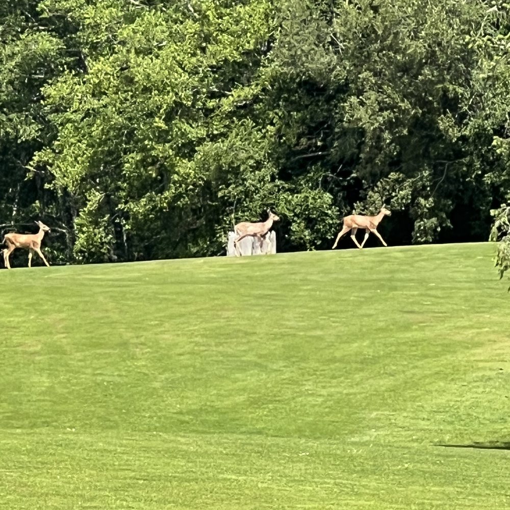 THE BEST 10 GOLF near BRINNON, WA 98320 - Updated 2025