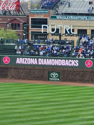 Arizona Diamondbacks Team Shop by null