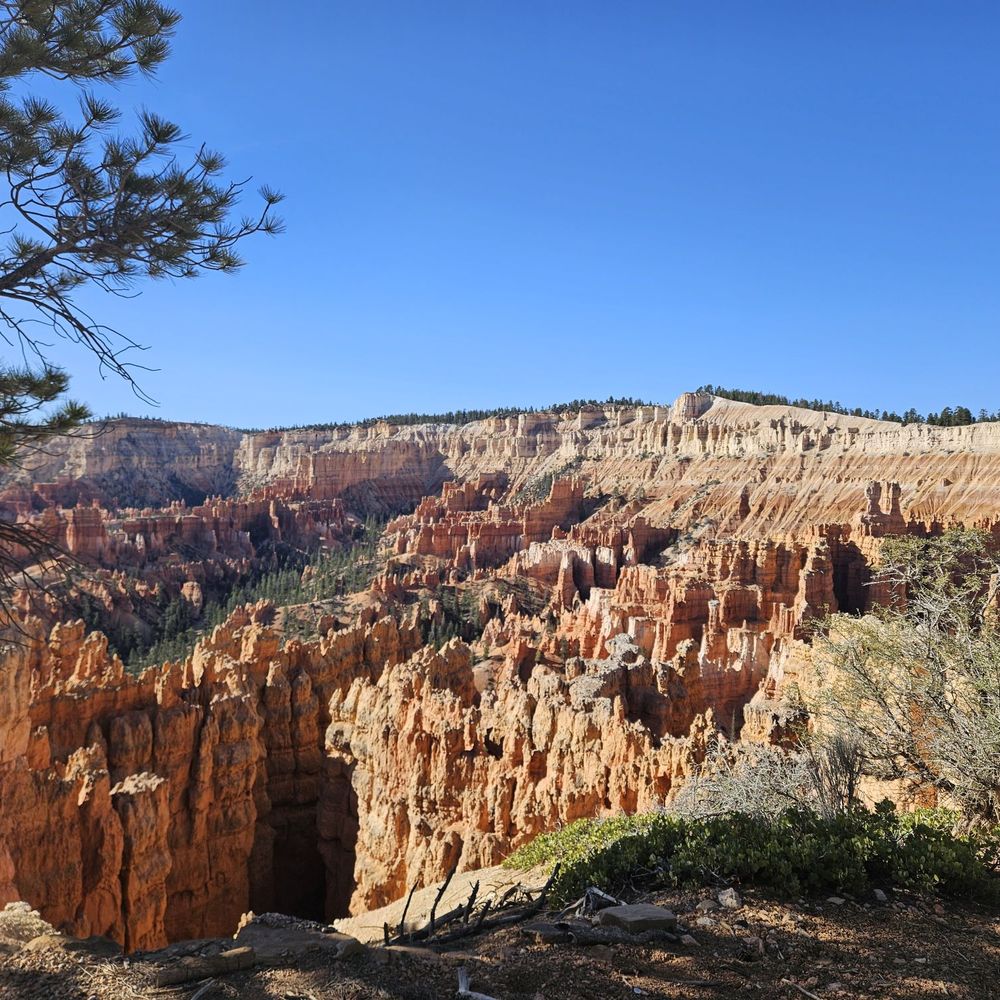 Bryce Canyon National Park - Hoodoos from Rainbow Point - Parks Near Me Bryce Canyon National Park - Hoodoos from Rainbow Point - Parks Near Me