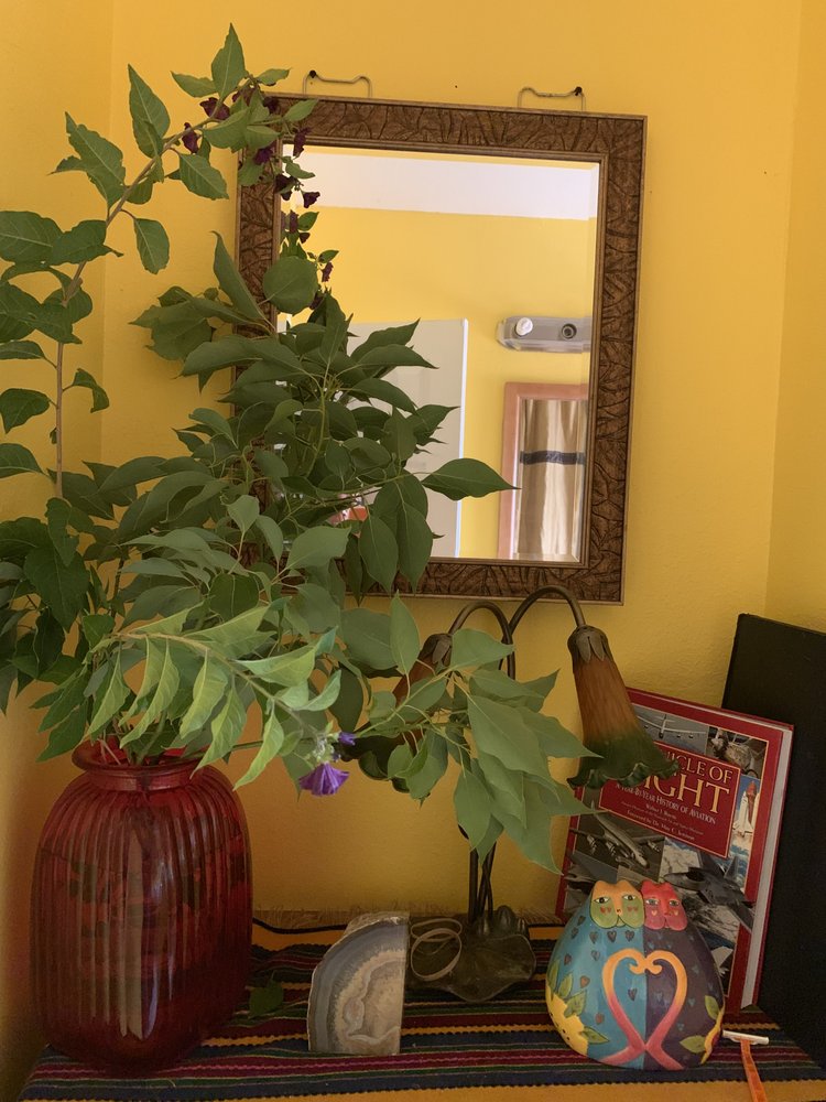 THREE GIRLS HOUSE CLEANERS Escondido, California Home Cleaning