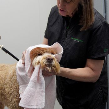 Pet Supplies Plus Sudbury - Pet Groomers Near Me - Sudbury, Massachusetts Pet Supplies Plus Sudbury - Pet Groomers Near Me - Sudbury, Massachusetts