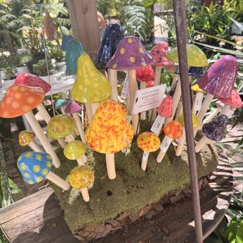 Island Home - Ceramic mushrooms for whimsical gardens - Nurseries & Gardening Near Me - Tavernier, Florida Island Home - Ceramic mushrooms for whimsical gardens - Nurseries & Gardening Near Me - Tavernier, Florida