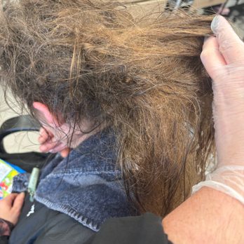 Hair Cuttery - Hair Stylists Near Me - Lake Mary, Florida Hair Cuttery - Hair Stylists Near Me - Lake Mary, Florida