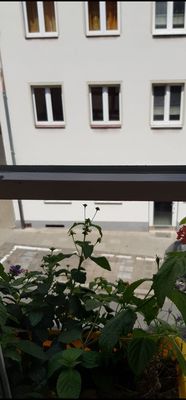 Hotel Elch by null