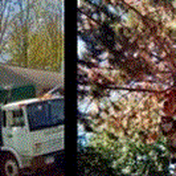 Tree Landers