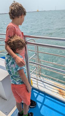 The Original Dolphin Watch by null