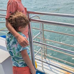 The Original Dolphin Watch