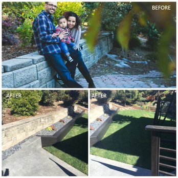 Samayoa Landscaping Berkeley - the unusable yard that is now a lush green lawn - Landscaping Near Me