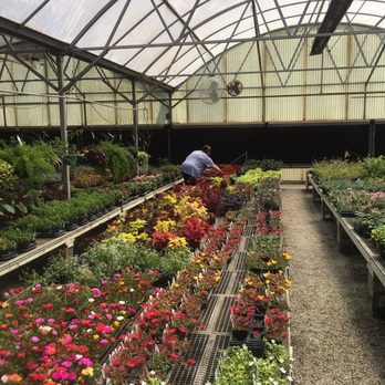 Taggart's Garden Center - Taggarts=happy mom - Nurseries & Gardening Near Me - Hennessey, Oklahoma Taggart's Garden Center - Taggarts=happy mom - Nurseries & Gardening Near Me - Hennessey, Oklahoma