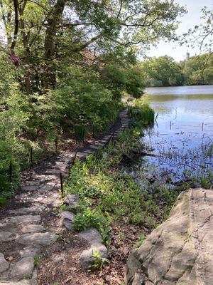 Ladies Pavilion by null