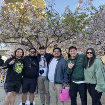 Japantown - Landmarks & Historical Buildings Near Me - San Francisco, California