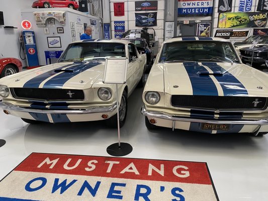 Mustang Owner's Museum by null