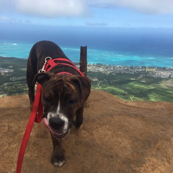 Kuliouou Ridge Trail - Hiking Near Me - Honolulu, Hawaii Kuliouou Ridge Trail - Hiking Near Me - Honolulu, Hawaii