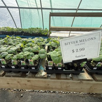 Vandula Farms - Farmers Market Near Me - Delta, British Columbia Vandula Farms - Farmers Market Near Me - Delta, British Columbia