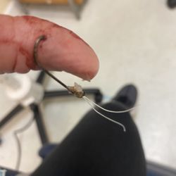 Masonboro Urgent Care