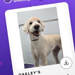 Oakley! Oakley!