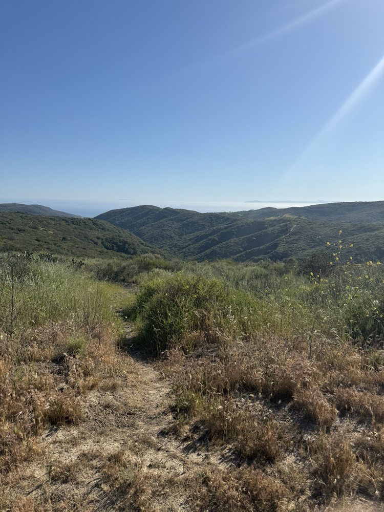 Silver Lining Recovery - grief counselor in Huntington Beach, CA