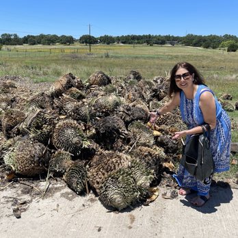 Desert Door - Me with the Sotal plant - Distilleries Near Me - Driftwood, Texas