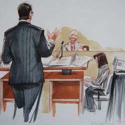 Law Offices of Darryl A. Goldberg - Cross examination by Darryl Goldberg of Forensic Pathologist at Drew Peterson Murder Trial