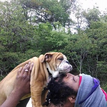 K9 Nanni - K9 Nanni Dog Boarding & Daycare - Dog Walkers Near Me - North Arlington, New Jersey