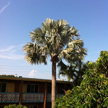 Westgate Cocoa Beach Resort - Resorts Near Me - Cocoa Beach, Florida
