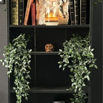 Gravves Coffee - Book Shelf - Food Trucks Near Me - San Antonio, Texas Gravves Coffee - Book Shelf - Food Trucks Near Me - San Antonio, Texas