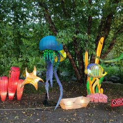 China Lights Wisconsin - Ocean themed lights