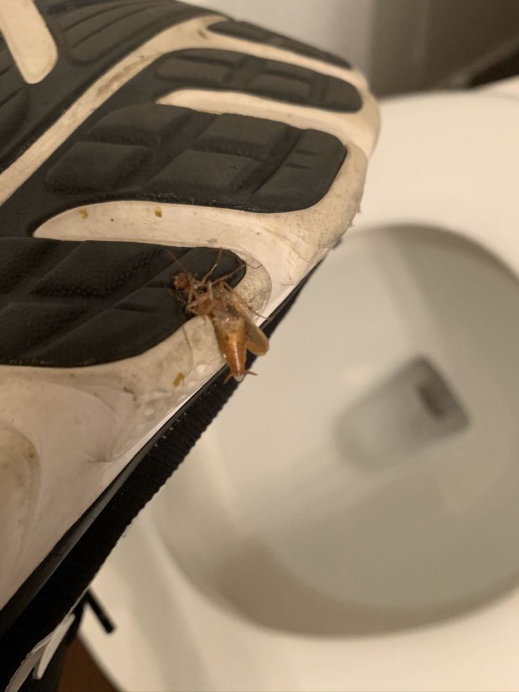 THE ENCLAVE APARTMENTS Updated April 2024 88 Photos 6209 Interstate 40 W, Amarillo, Texas