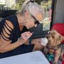 Seven Hills Pet Hospital