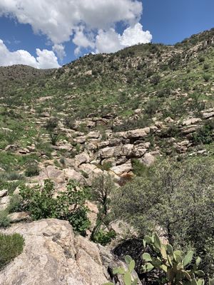Santa Catalina Natural Area by null
