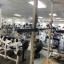 Photo of Body Builders