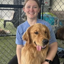 All American Pet Resorts