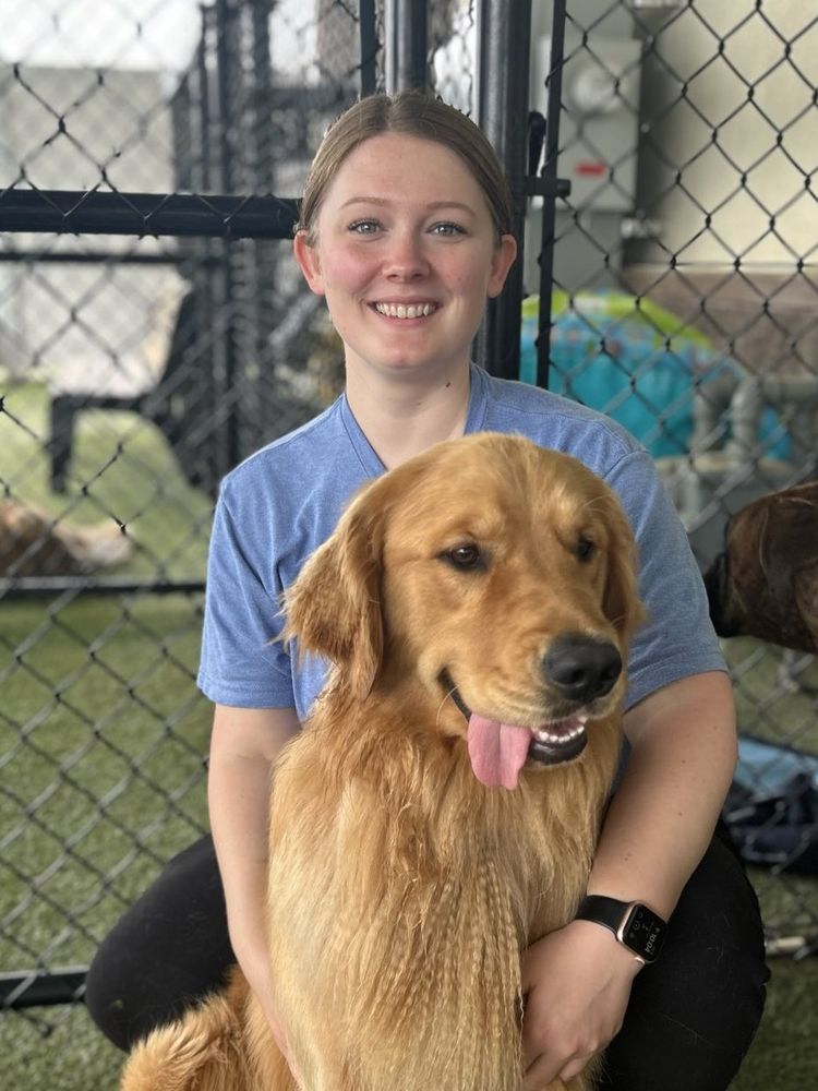 ALL AMERICAN PET RESORTS Updated August 2025 24 Photos 1680