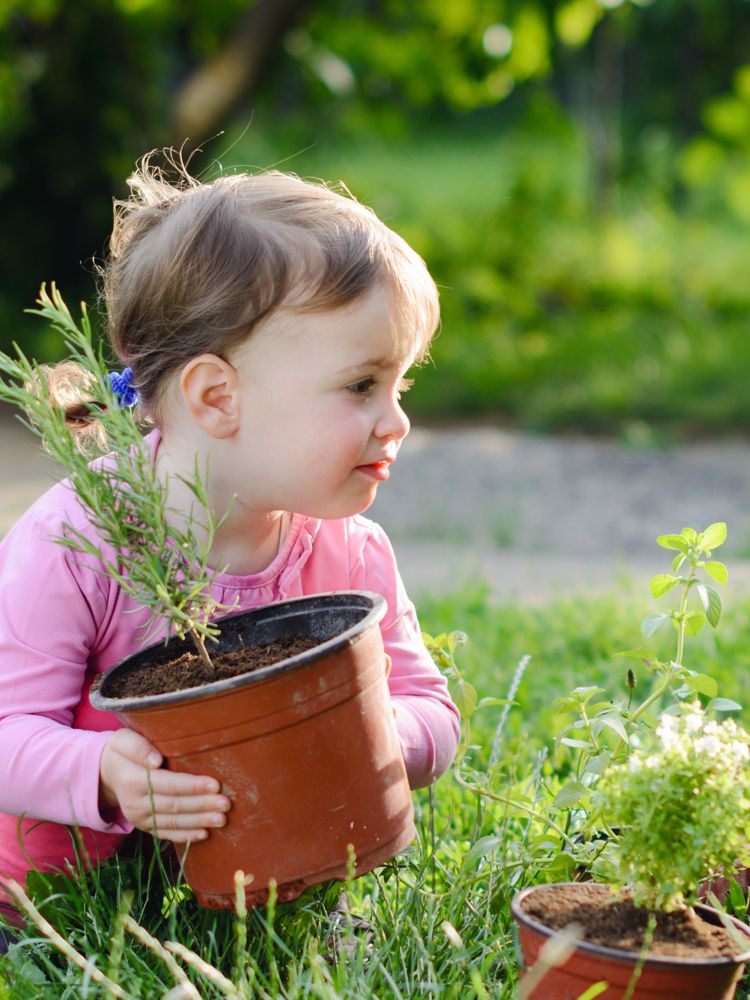 POOP SCOOP GROUP Updated May 2024 Request Information 970 W 530th