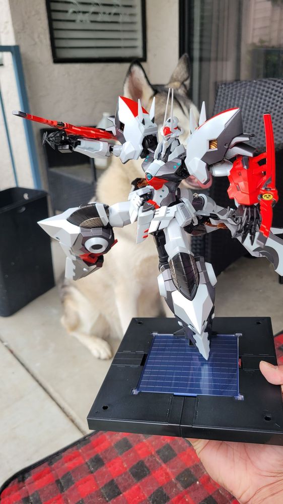 ANIME KING Updated October 2024 50 Photos & 47 Reviews 9720