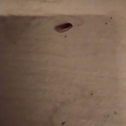 Nationwide Housing Corporation - Roach egg bag in my cabinet
