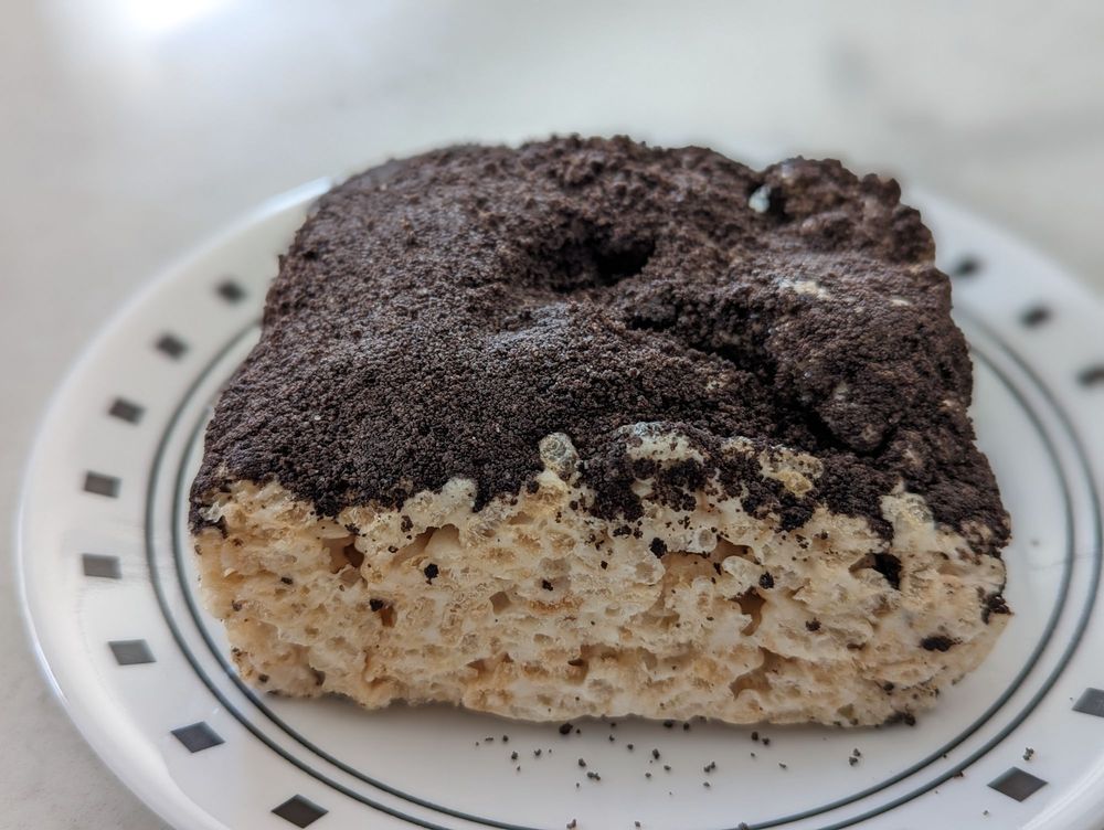 Cinnamon Squirrel Bakery Logo