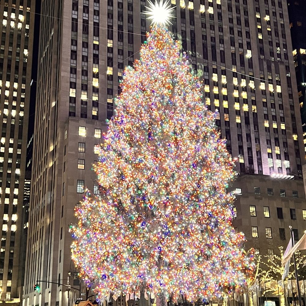 Rockefeller Center Christmas Tree - 12/14/23 - Christmas Trees Near Me - New York, New York Rockefeller Center Christmas Tree - 12/14/23 - Christmas Trees Near Me - New York, New York
