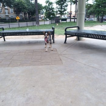 Tanglewood Park - Under the gazebo - Dog Parks Near Me - Houston, Texas