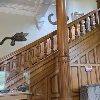 Musée Redpath - Museums Near Me - Montreal, Quebec