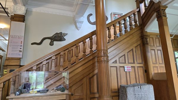 Redpath Museum by null