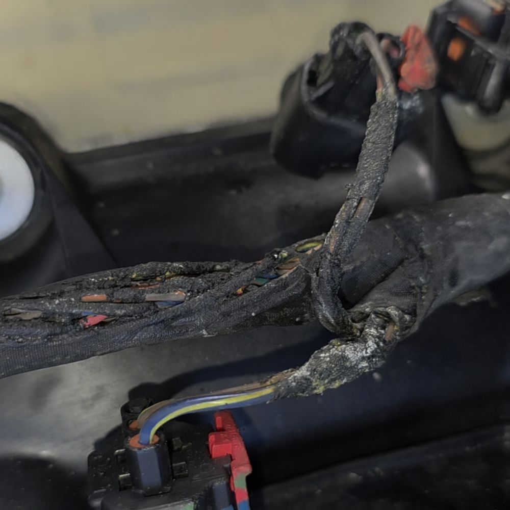 Quartz Hill Auto Care - Singed wires from fire - Auto Repair Near Me - Lancaster, California Quartz Hill Auto Care - Singed wires from fire - Auto Repair Near Me - Lancaster, California