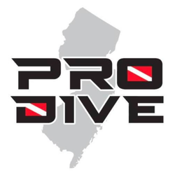 Professional Divers