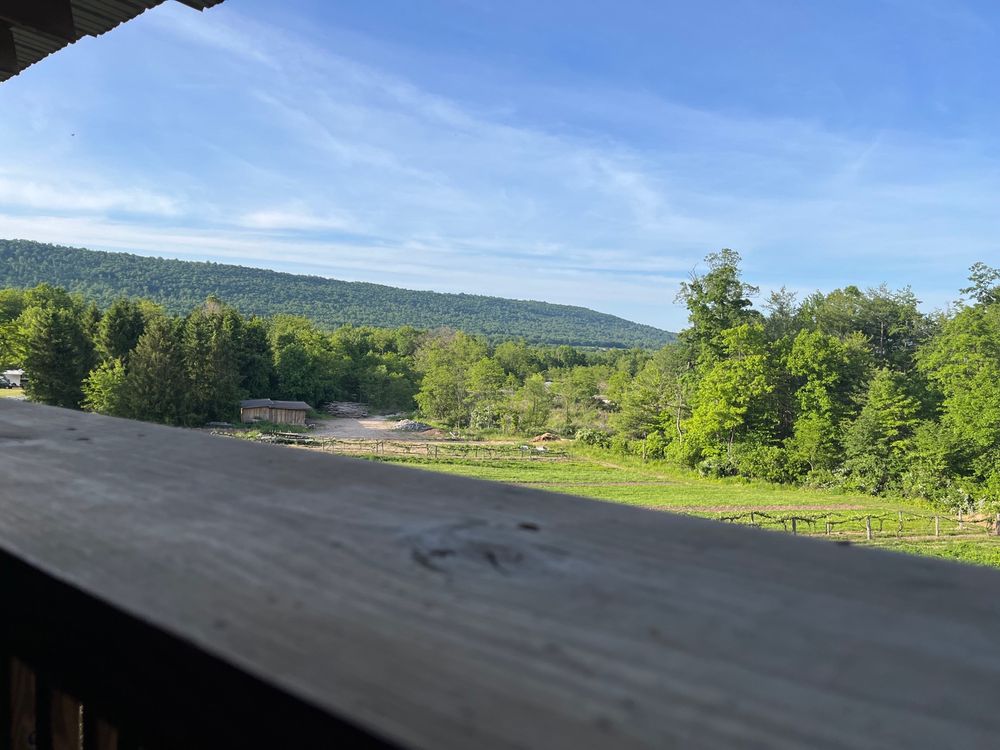 Buddy Boy Winery & Vineyards - vineyard in Duncannon, PA