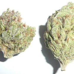 Desert Wellness Center - Louis XIII