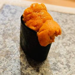 Sea Urchin