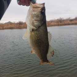 The Hook Up Tackle - Let them help you elevate your game pure quality fishing products,,,knowledge is embedded in the crew that work there