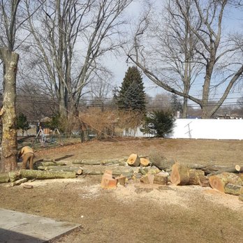 Master Tree Services - Almost done - Tree Services Near Me