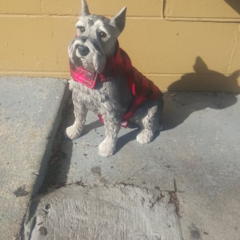 The Highland St Cafe - How cute is this little guy found our front? - Breakfast & Brunch Near Me - Mount Dora, Florida The Highland St Cafe - How cute is this little guy found our front? - Breakfast & Brunch Near Me - Mount Dora, Florida